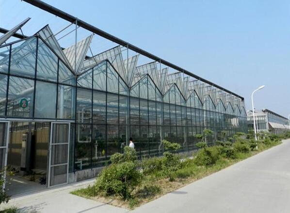 PC陽光板溫室大棚