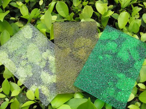 1680854163209646.jpg 12.jpg