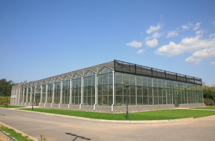 1681113891468767.jpg 34.jpg